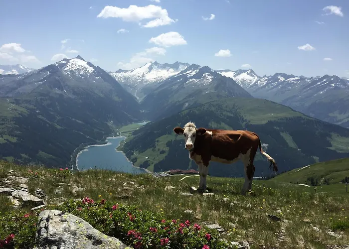 ホテル Sterngucker